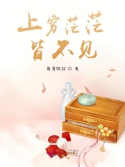 上穷茫茫皆不见