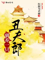 驯养一只丑夫郎