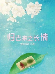 归去来之长情