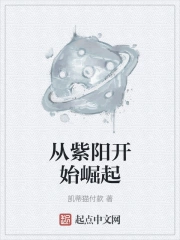 从紫阳开始崛起