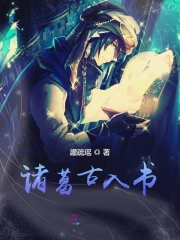 诸葛古入书