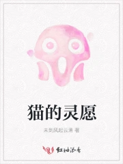 猫的灵愿