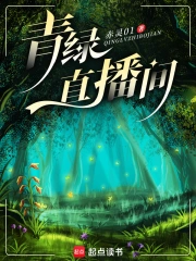 弹幕追凶