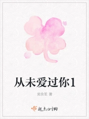 从未爱过你1