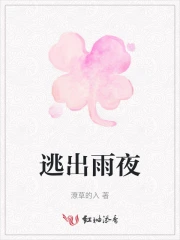 逃出雨夜