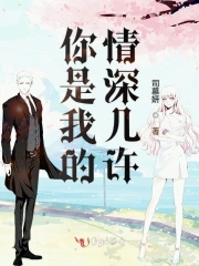 你是我的情深几许