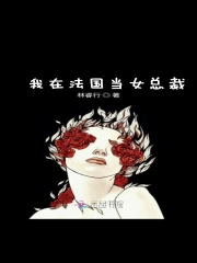 我在法国当女总裁