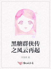 黑糖群侠传之风云再起
