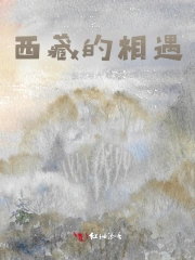 西藏的相遇