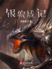 银狼战记