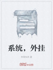 系统，外挂