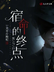 黑与白：宿命的终点