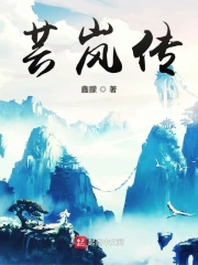 芸岚传