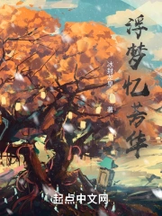 浮梦忆芳华