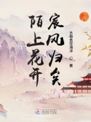 陌上花开宸风归矣
