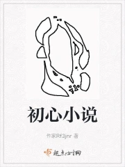 初心小说