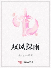 双风探雨