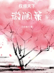权倾天下：微澜策