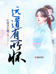 远道有所怀