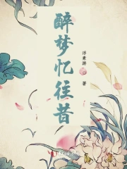 醉梦忆往昔