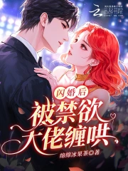 闪婚后，被禁欲大佬缠哄