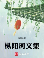 枞阳河文集