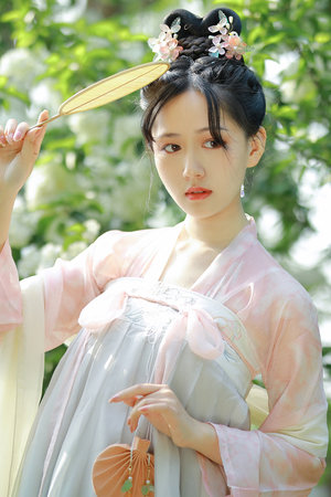龙图风云录