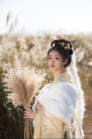 神话创造世界